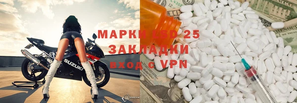 PSILOCYBIN Баксан